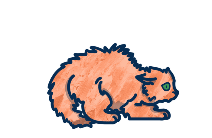 stray cat two