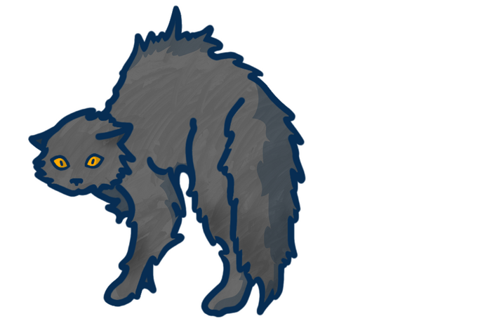 stray cat one