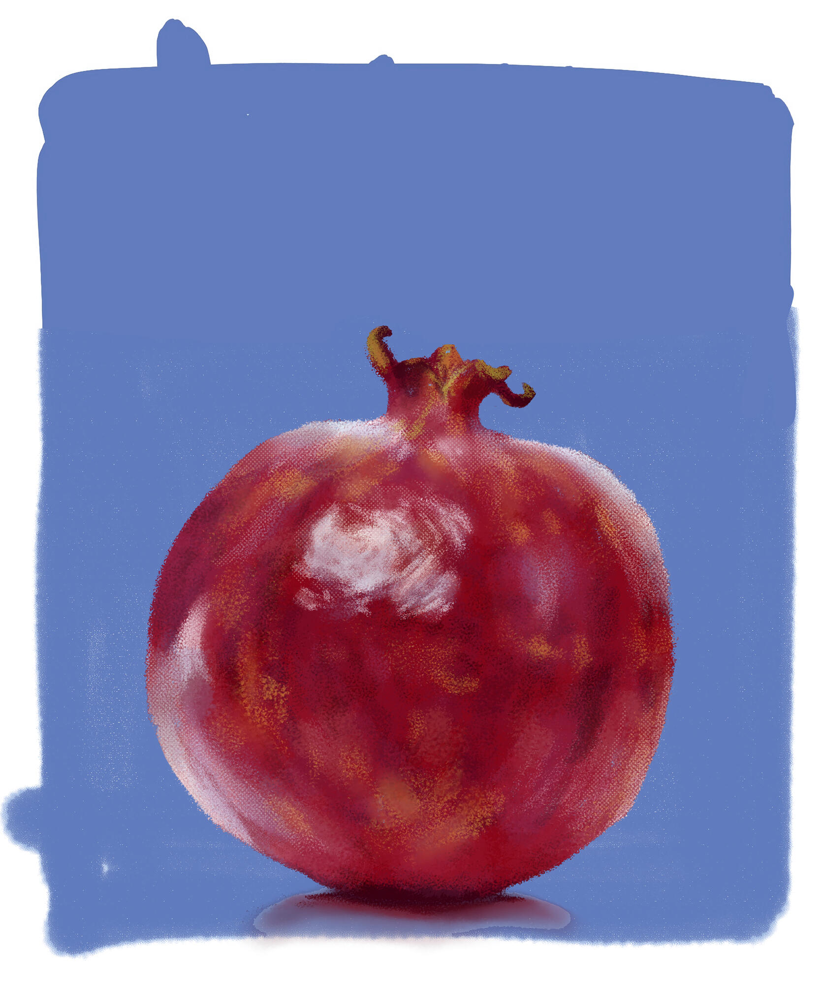 pomegranate texture practice